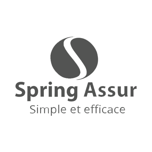 logo springassur noir
