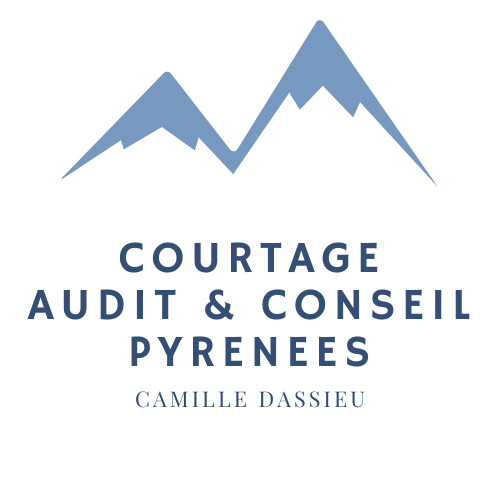 Logo 360 Courtage